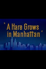 Watch A Hare Grows in Manhattan