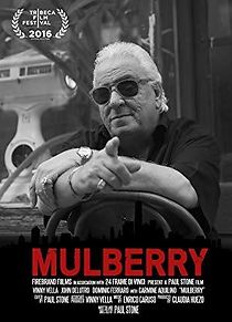 Watch Mulberry