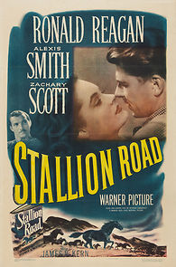 Watch Stallion Road