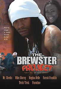 Watch The Brewster Project