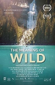 Watch The Meaning of Wild
