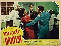 Watch Miracle in Harlem