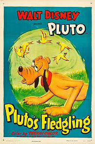 Watch Pluto's Fledgling