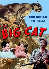 Watch The Big Cat