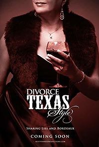 Watch Divorce Texas Style