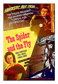 Watch The Spider and the Fly