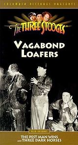 Watch Vagabond Loafers