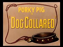 Watch Dog Collared (Short 1950)
