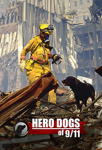 Watch Hero Dogs of 9/11 (Documentary Special)