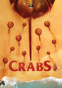 Watch Crabs!