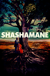 Watch Shashamane