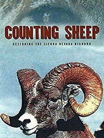 Watch Counting Sheep