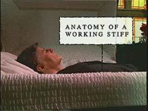 Watch Anatomy of a Working Stiff