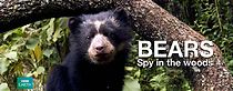 Watch Bears: Spy in the Woods