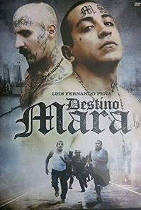 Watch Destino Mara