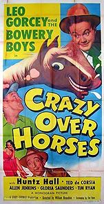 Watch Crazy Over Horses