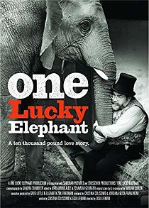 Watch One Lucky Elephant