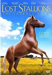 Watch Lost Stallions: The Journey Home