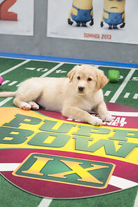 Watch Puppy Bowl IX (TV Special 2013)