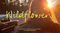Watch Wildflowers