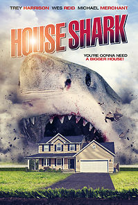 Watch House Shark