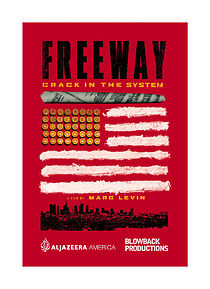 Watch Freeway: Crack in the System