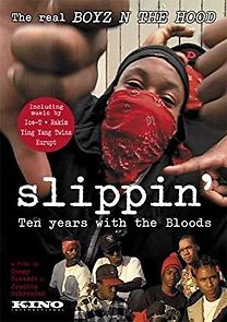 Watch Slippin': Ten Years with the Bloods