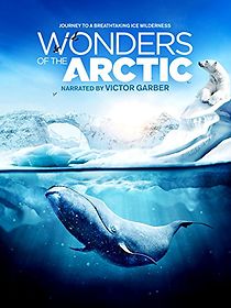 Watch Wonders of the Arctic 3D