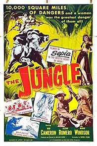 Watch The Jungle