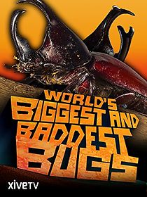 Watch World's Biggest and Baddest Bugs