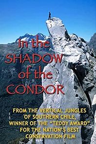 Watch In the Shadow of the Condor