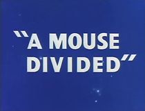 Watch A Mouse Divided (Short 1953)