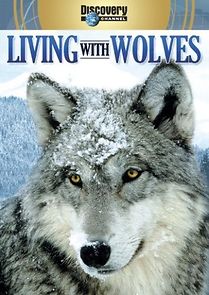 Watch Living with Wolves