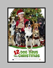 Watch 12 Dog Days Till Christmas