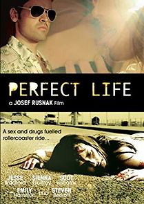 Watch Perfect Life
