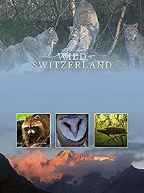 Watch Wilde Schweiz
