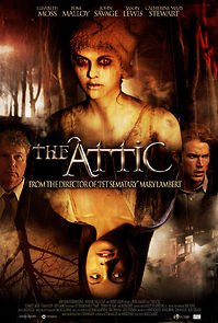 Watch The Attic