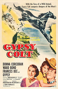 Watch Gypsy Colt